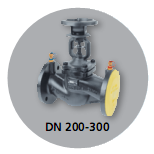 DN 200-300
